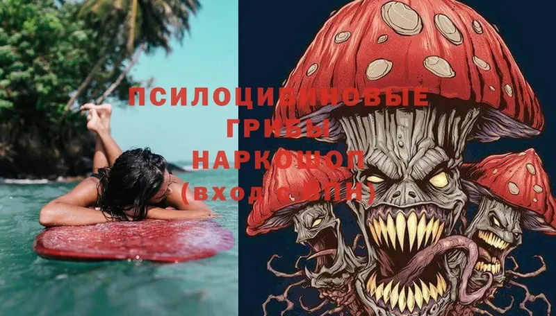 omg зеркало  Кумертау  Псилоцибиновые грибы MAGIC MUSHROOMS  дарнет шоп 